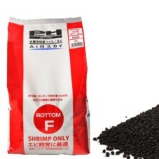 Power House Dottom F 8L