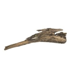 Dragon korijen drvo m-l 15-50 cm