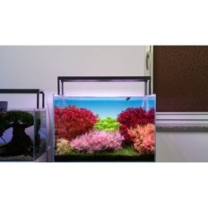 Iluminação LED FM 45nh fresca de Skylight Hyperbar