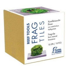 Fauna-Marin-Frag-Fliesen 10pcs. Beratungsstände