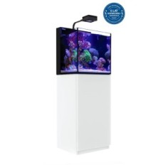 "Red Sea Max Nano Cube G2" jūrų akvariumo rinkinys su baltu spintele