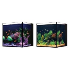 Aquarium Desktop Cube (without cabinet)