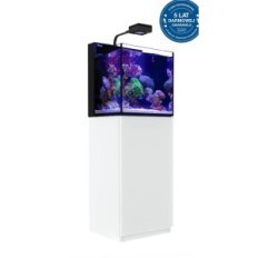 Cube de bureau avec une armoire blanche