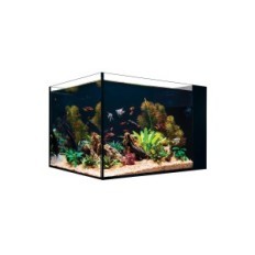 Aquarium Desktop Peninsula (without cabinet)