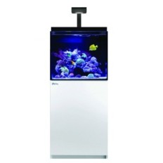 Rode zee Max E-170 LED-aquariumset met een witte kast