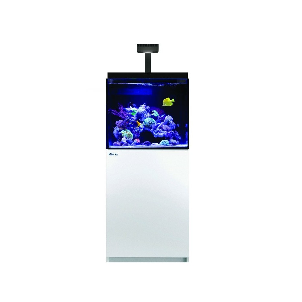 Sea rossa Max E-170 LED Aquarium Set con un armadietto bianco
