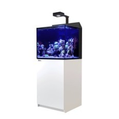Rote Sea Max E-170 LED-Aquariumset mit einem weißen Schrank