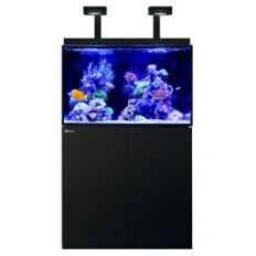 Red Sea Max E-260 LED Aquarium set with a black cabinet