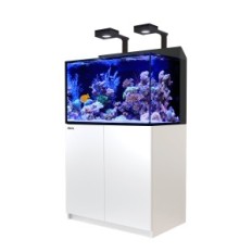 Sea rossa Max E-260 LED Aquarium Set con un armadietto bianco