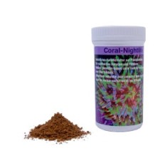 Precio nocturna de Coral