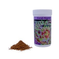 Preis Coral Éjszakai élet