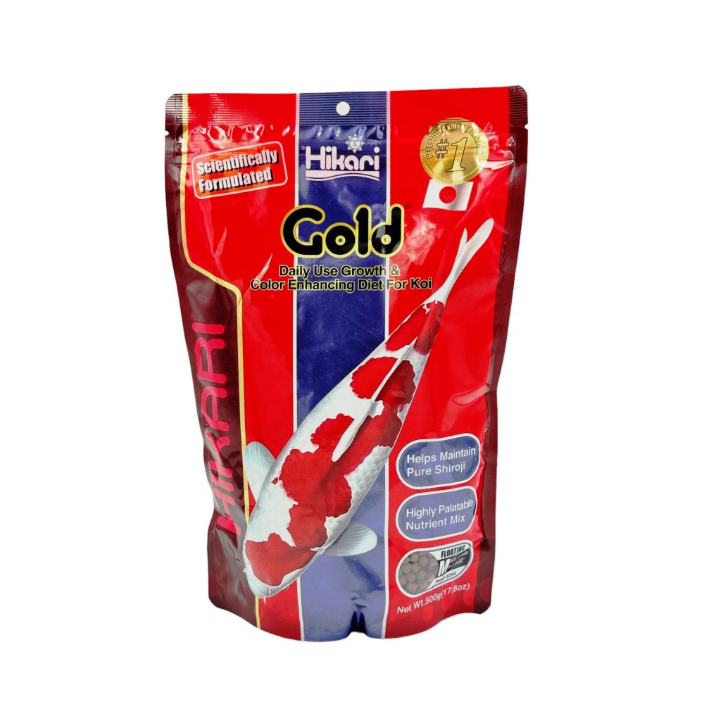 Hikari Gold Medium 500G-rakeet "varhaisen värin kehittämisestä"