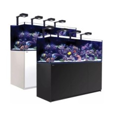 Red Sea Reefer G2 + XXL 900 Deluxe süsteemi akvaarium Valge kapp