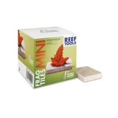 Fauna Marin Frag Fliesen Mini 40pcs. Beratungsstände