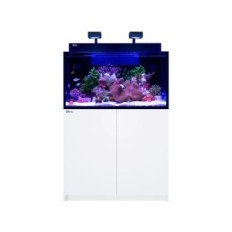 Red Sea Max Nano G2 XXL Sea akvaarium Valge kapp