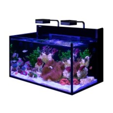 Rode Zee Max Nano G2 XXL Sea Aquarium Kit met zwarte kast