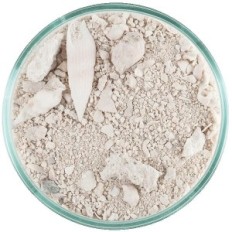 Caribsea Ocean Direct Original 9,07 kg Live sand for det karibiske akvariet