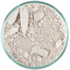 Caribsea Ocean Direct originalus 9,07 kg gyvas smėlis Karibų jūros akvariumui