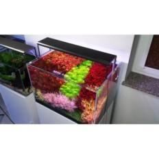 Skylight-hyperbar verse FM 45AH LED-verlichting met verstelbare handgreep