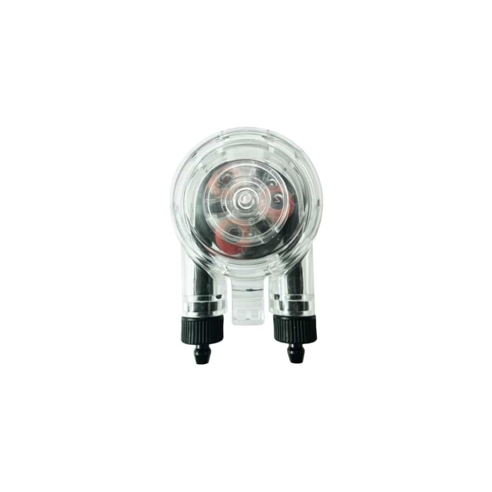 Reefsosee Red Sea Head