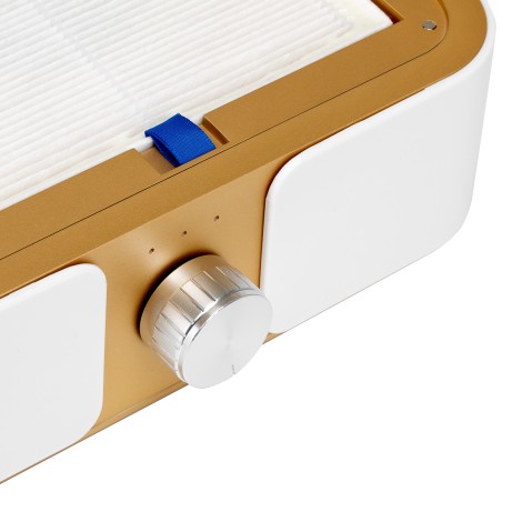 Dust absorber Momo P30 60W white gold — close-up of the controls