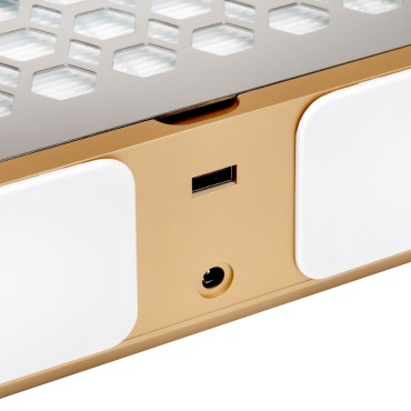 Stofafzuiger Momo P30 60W wit goud — detail oppervlak