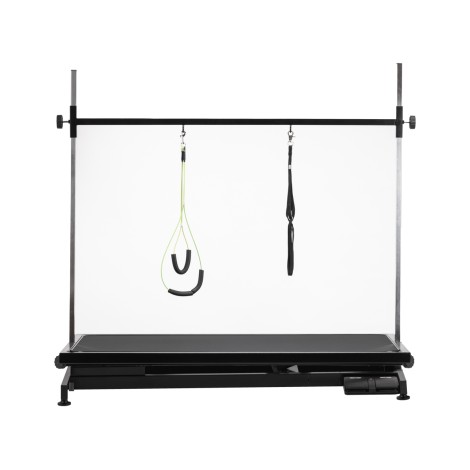 Tavolo toelettatura elettrico P4W 1 nero con altezza regolabile — vista frontale