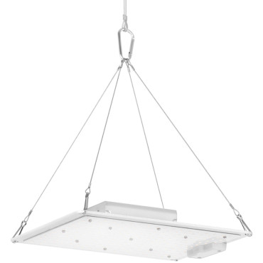 Lamp voor het groeien van plantengroei Volledig spectrum 30 x 24 cm 234 LED 110 in zilver