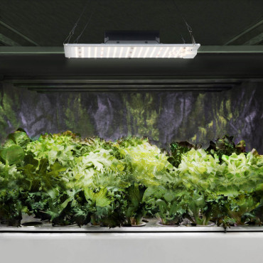 Lamp voor het groeien van plantengroei Volledig spectrum 30 x 24 cm 234 LED 110 in zilver