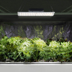 Lamp voor het groeien van plantengroei Volledig spectrum 30 x 24 cm 234 LED 110 in zilver
