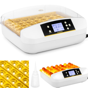 Incubator Hatchery Klużyk a...