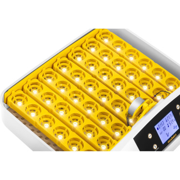 Inkubator Hatchery Klużyk na 42 jajca Chicken 90 W + Owloskop