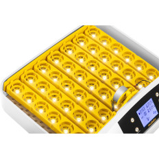 Incubateur éleveur pour 42 œufs de poule 90 W + ovoscope