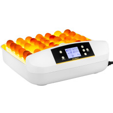 Incubator Hatchery Klużyk tot 42 eieren Kip 90 W + OwLOSKOP
