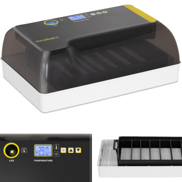 Incubator hautomerkki...