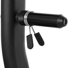 A bogár alatt ferde pad szögszög, hogy fekete és sárga