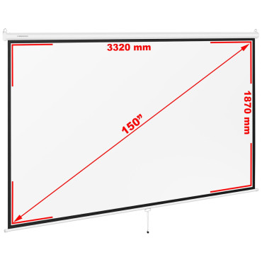 Screen for the Projector...
