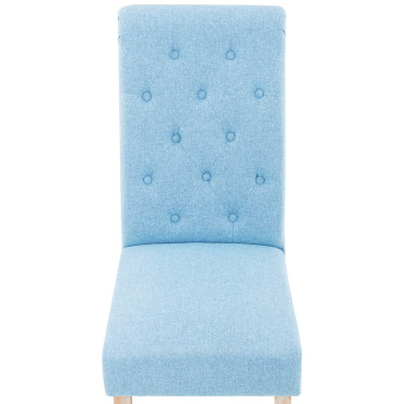 Minkšti kėdė gyvenamojo kambario kambarį 2 vnt. Blue