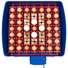 Incubator van de slang tot 49 automatische eieren met een biomaster 150 hydraterende systeem in