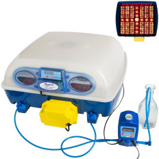 Inkubator cevi do 49 avtomatskih jajc s profesionalnim sistemom vlažitve 150 W