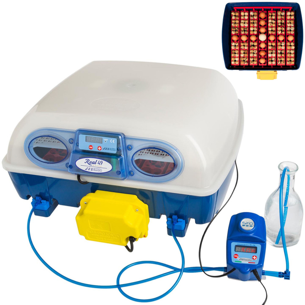 Incubator of the hose to 49 automatic eggs with a professional humidification system 150 W