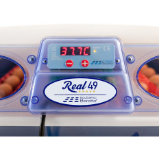 Incubator van de slang tot 49 automatische eieren met een professioneel bevochtigingssysteem 150 W