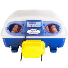 Klust inkubator upp till 24 Automatiska ägg med professionell vattendispenser 100 W