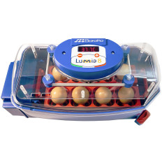 Klużer Klujem to up to 8 automatic eggs with a professional water distributor 50 W