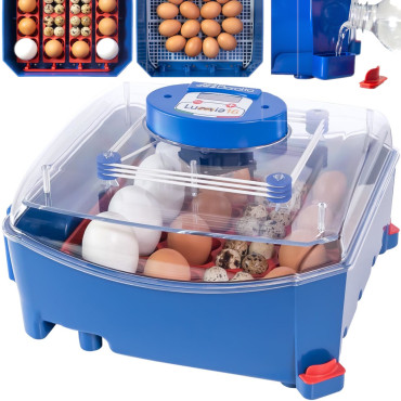 Klust incubator up to 16...