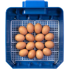 Klust inkubator opp til 16 automatiske egg med profesjonell vannfordel 60 W