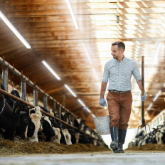 LED ledet vandtæt hermetisk vandtæt til IP65 4400 LM 120 cm 40 Lagerhus