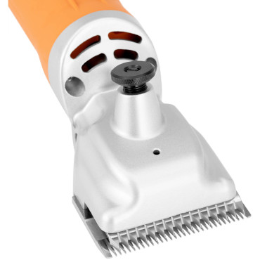 Razor skuveklis priekšstatiem zirgi Electric liellopi 350 W + koferis