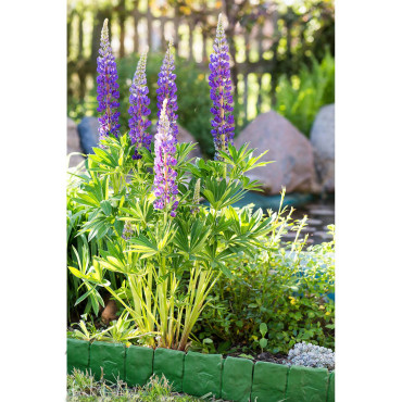 Palisade bordure pour pelouse imitation pierre STONE 2.5m - verte