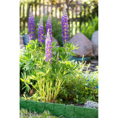 Palisade bordure pour pelouse imitation pierre STONE 2.5m - verte